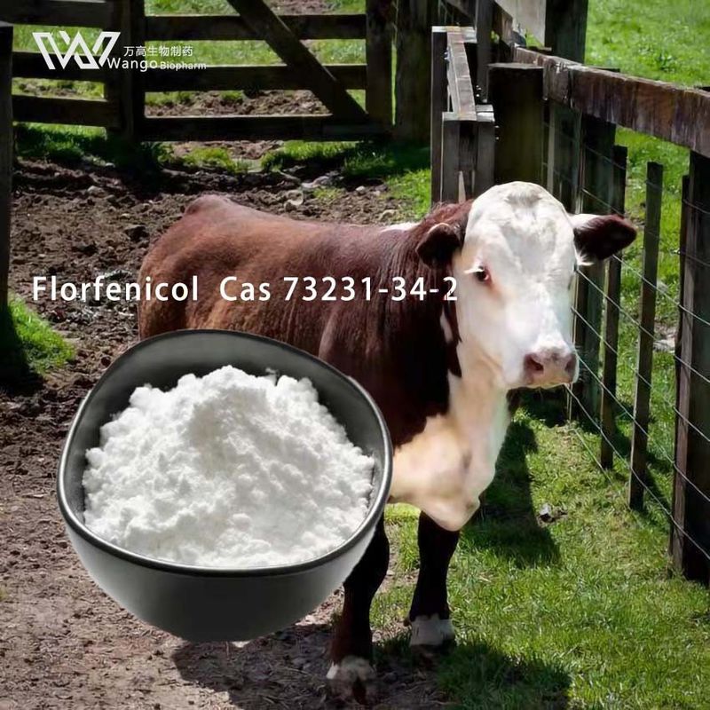 Veterinary Florfenicol Powder 99% Antibiotics Cas 73231-34-2
