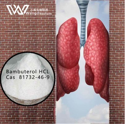 बम्बुटेरोल एचसीएल 99% अस्थमा विरोधी एजेंट 81732-46-9 ब्रोन्कियल अस्थमा के उपचार के लिए